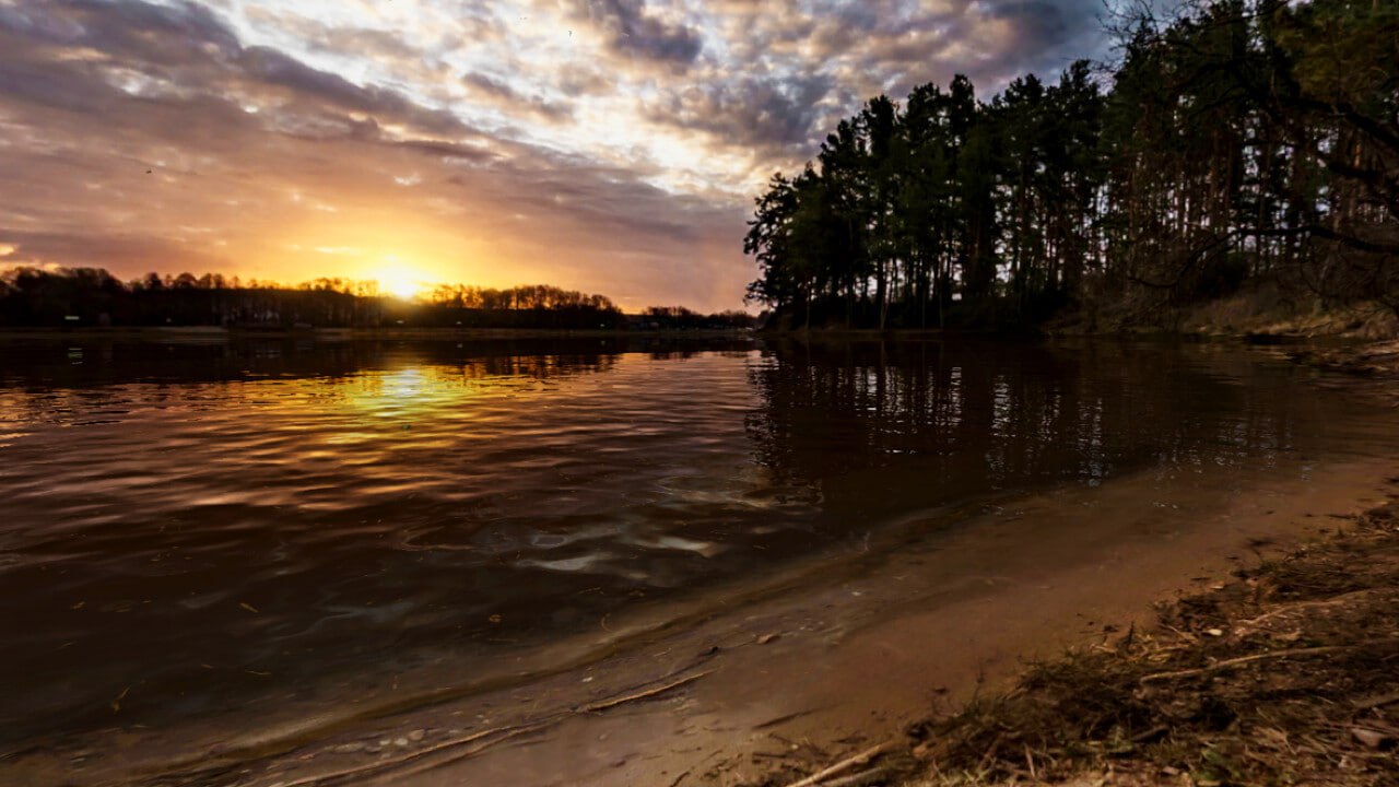 скриншот игры