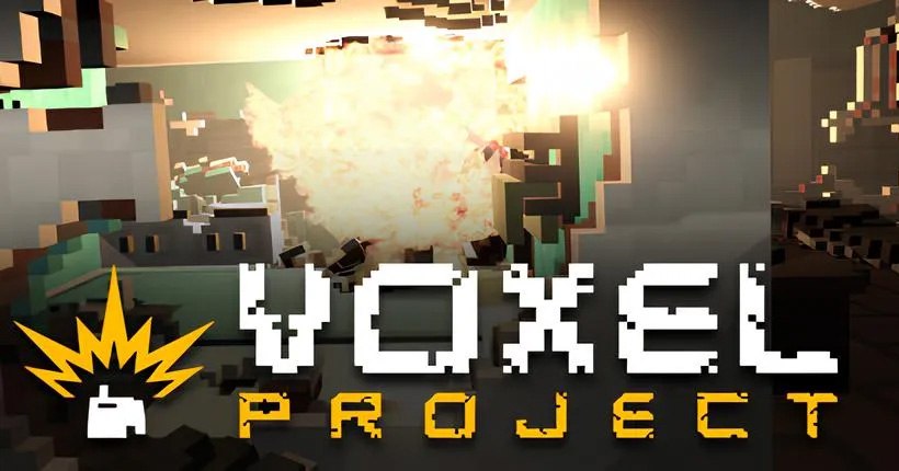 Voxel Project VR