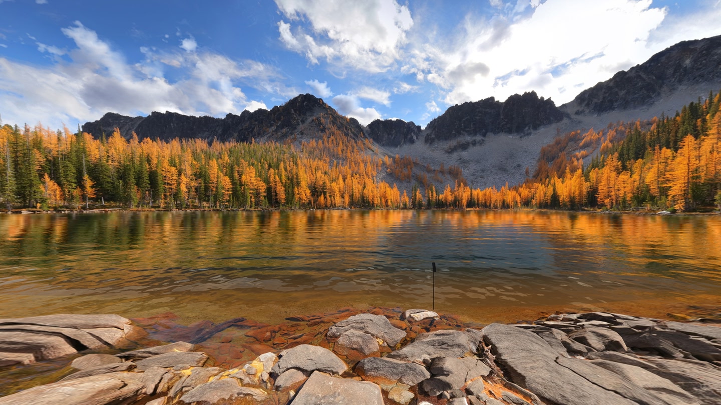 скриншот игры