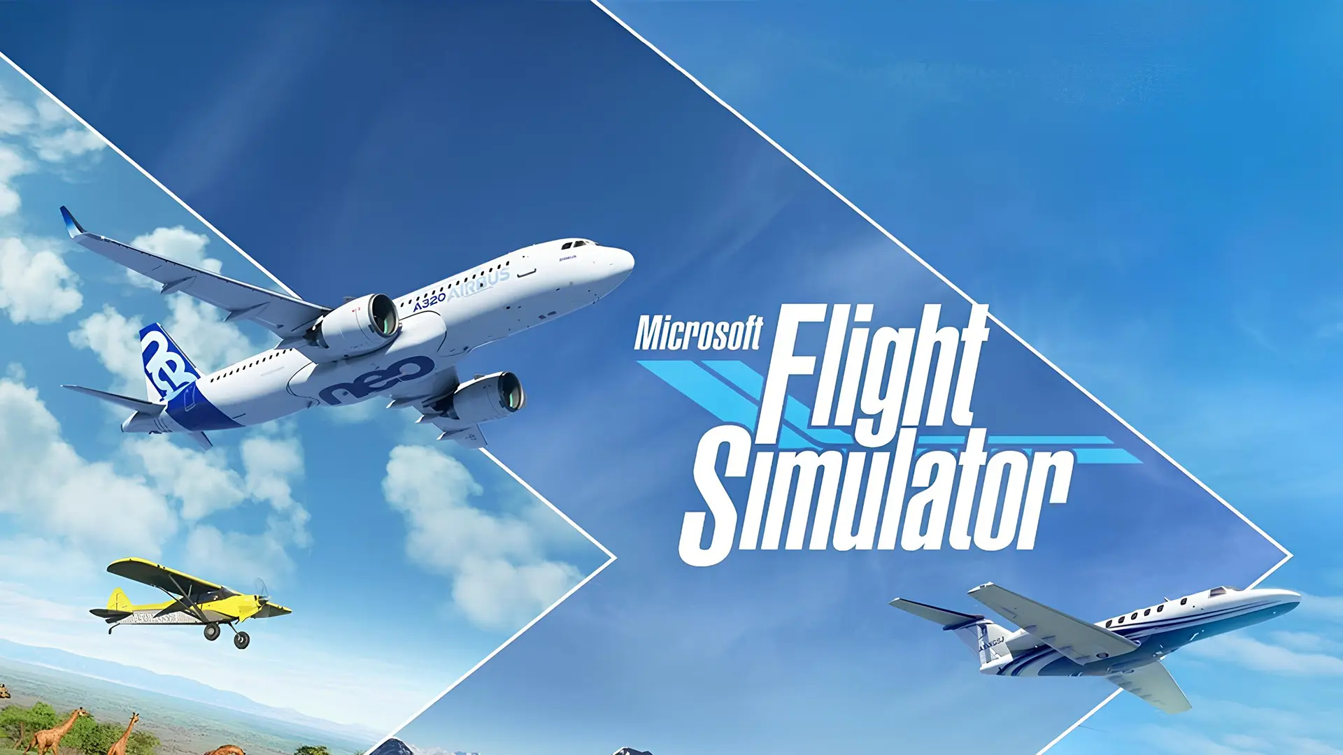 Microsoft Flight Simulator
